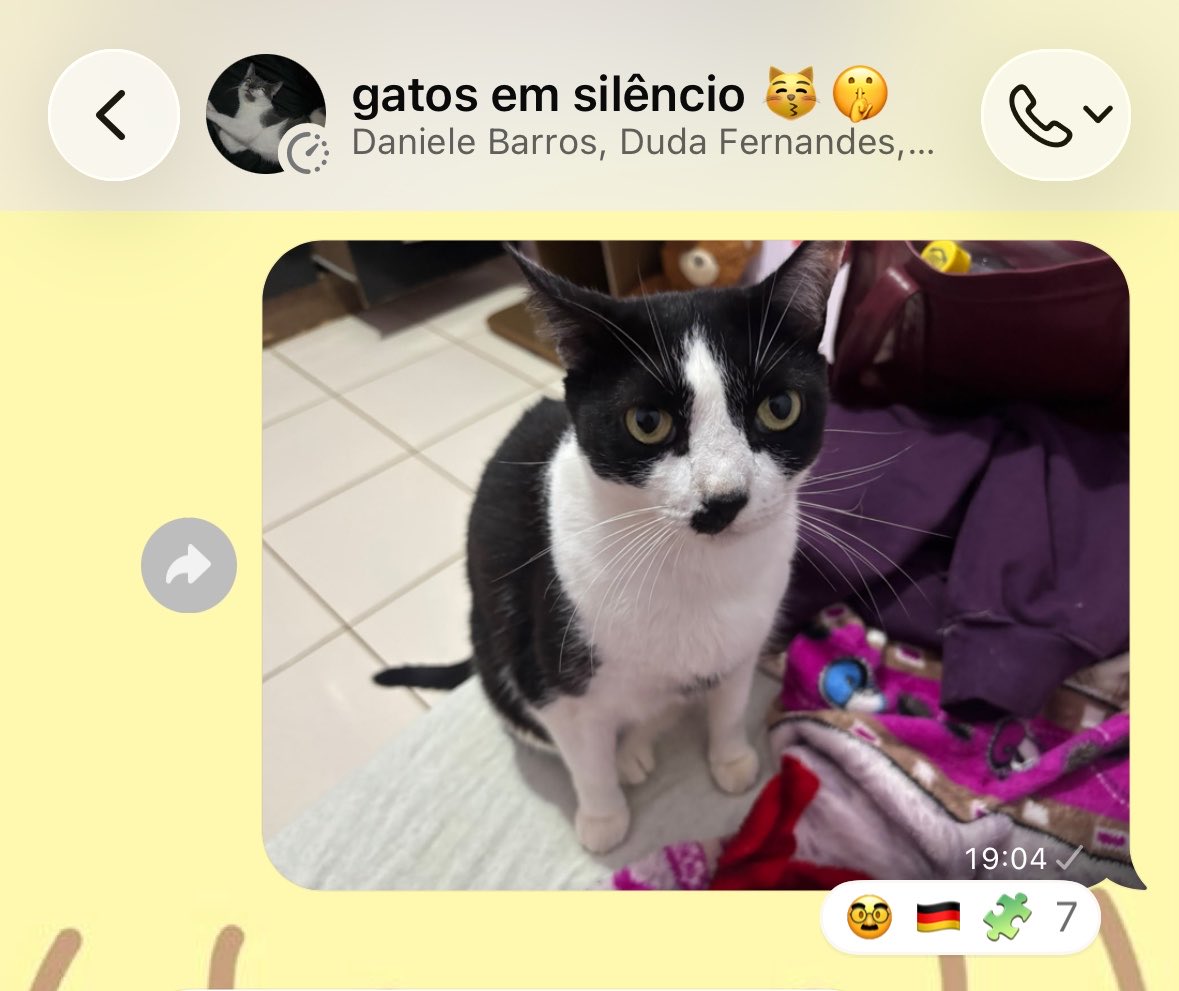 kiwisverde's tweet photo. tao chamando minha gata de h*ttler no Gatos em Silencio 

desumano isso https://t.co/mQnXqFTdg6