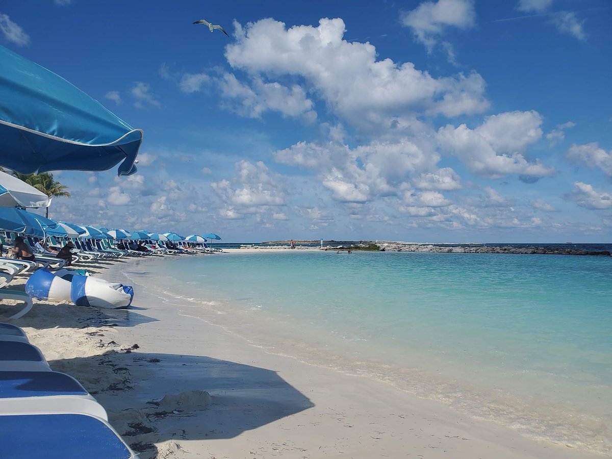 NatheCastro's tweet photo. Island days, island ways in CocoCay, Bahamas. https://t.co/QxBrMJHDZQ