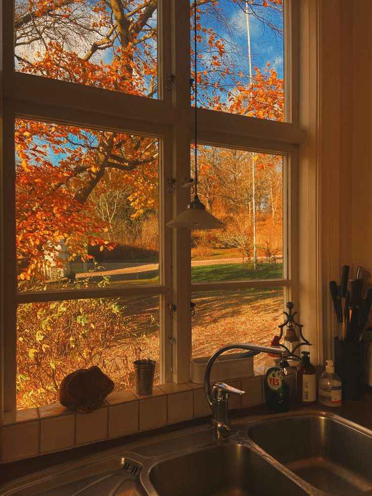 greenvibe's tweet photo. The taste of autumn. https://t.co/9lJCGdQeLR