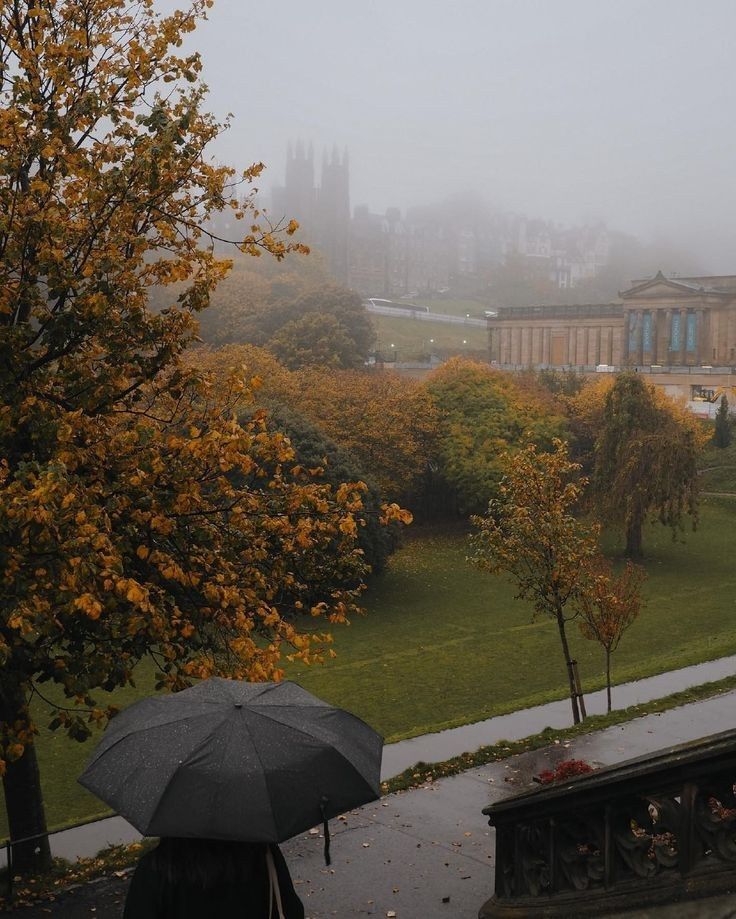 greenvibe's tweet photo. The taste of autumn. https://t.co/9lJCGdQeLR