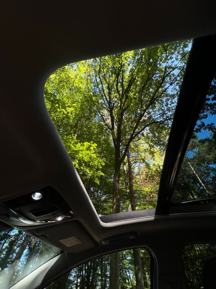 greenvibe's tweet photo. No need to stop. sometimes the road is the view. https://t.co/4RBIxwfoXp