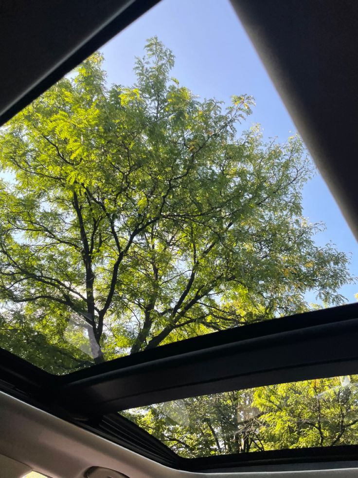 greenvibe's tweet photo. No need to stop. sometimes the road is the view. https://t.co/4RBIxwfoXp