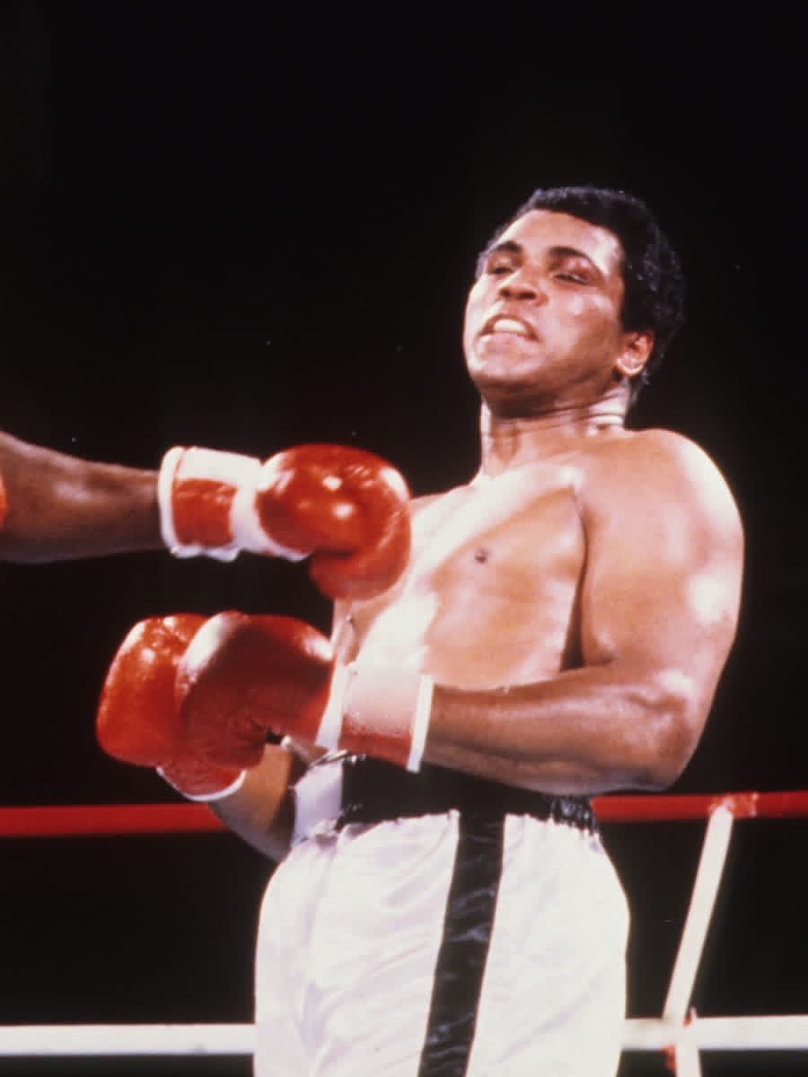 Ayomidec8's tweet photo. On October 2, 1980, Muhammad Ali returned to the ring to face heavyweight champion Larry Holmes. Despite a courageous effort, Holmes earned a TKO victory in one of the final chapters of Ali's legendary career.

#MuhammadAli #BoxingHistory #OnThisDay #HeavyweightBoxing https://t.co/6zWW5L85p0