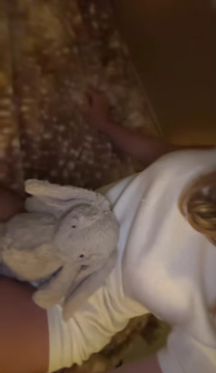 mckylaaah's tweet photo. sleepy time https://t.co/pTl4TWC7BB