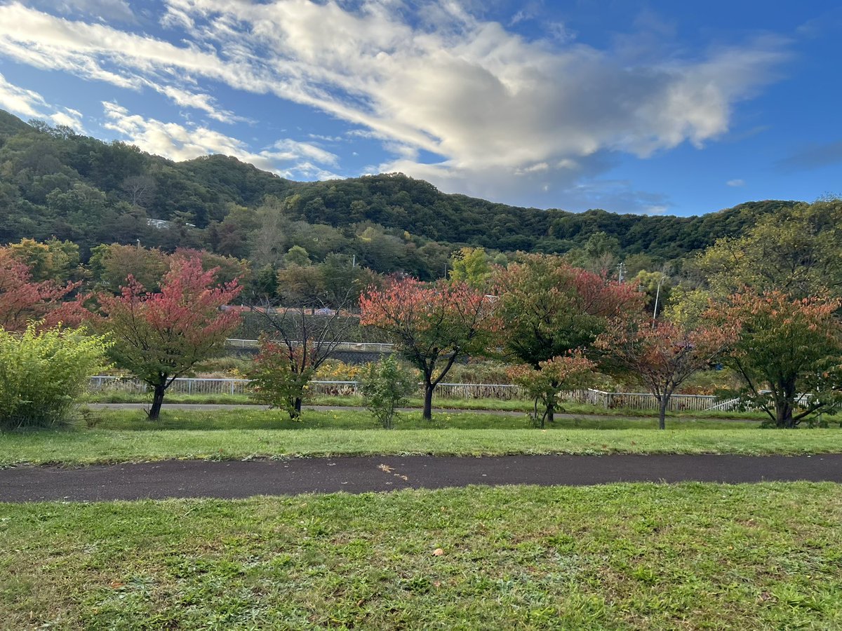 majorinko's tweet photo. 朝んぽ🐶⛅️🍁 https://t.co/drirX0yNIZ