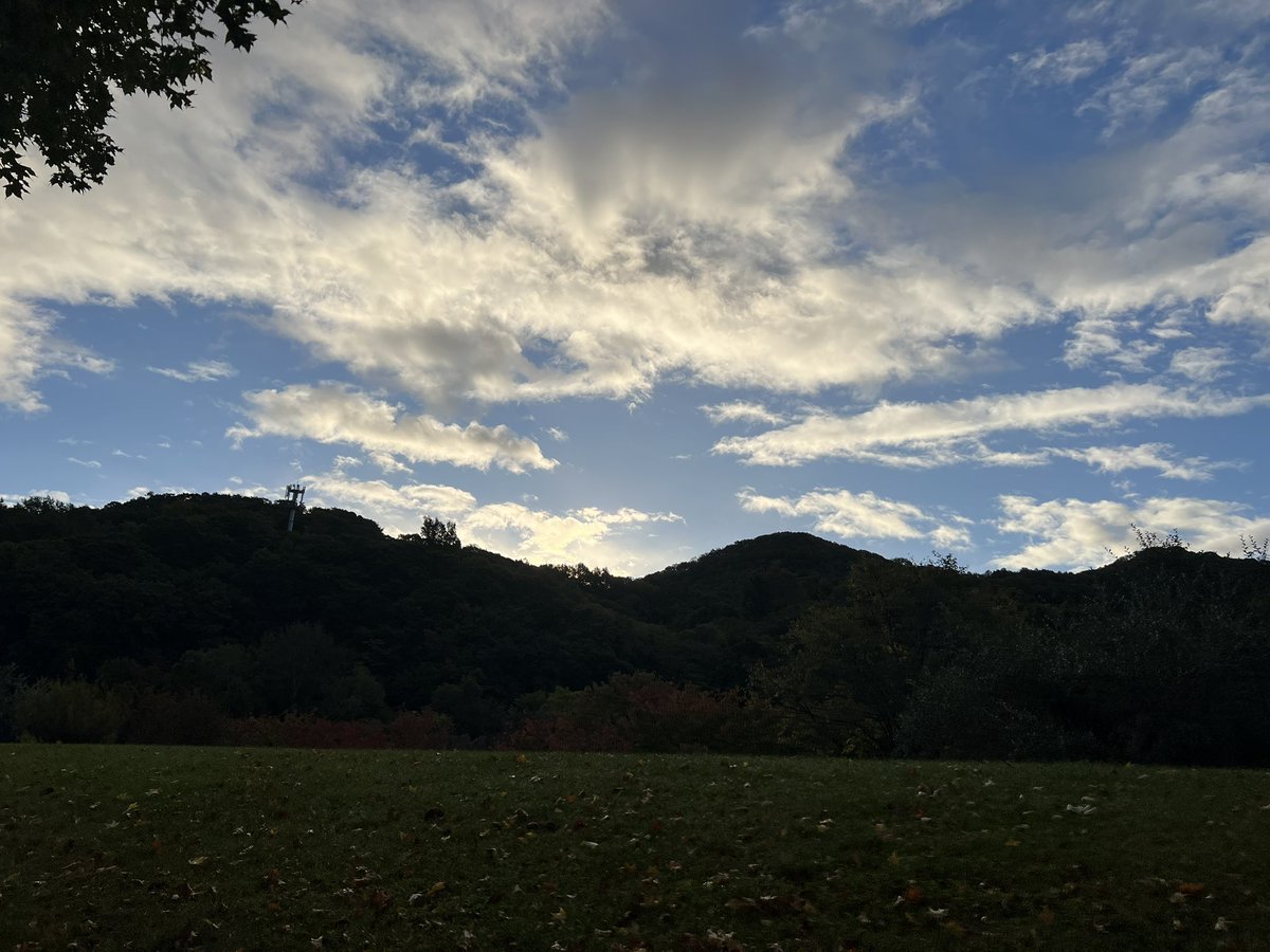 majorinko's tweet photo. 朝んぽ🐶⛅️🍁 https://t.co/drirX0yNIZ