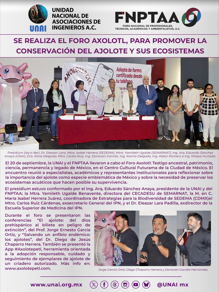 EduSanchezAnaya's tweet photo. El Foro Axolotl es un esfuerzo para la conservación del ajolote. El evento fue presidido por la Mtra. Yamileth Ugalde Benavente de @SEMARNAT_mx , la M. en C. María Isabel Herrera Juárez de @SEDEMA_CDMX y organizado por #Axolotepetl y @UNAI_mx https://t.co/4ZwPz4pItf