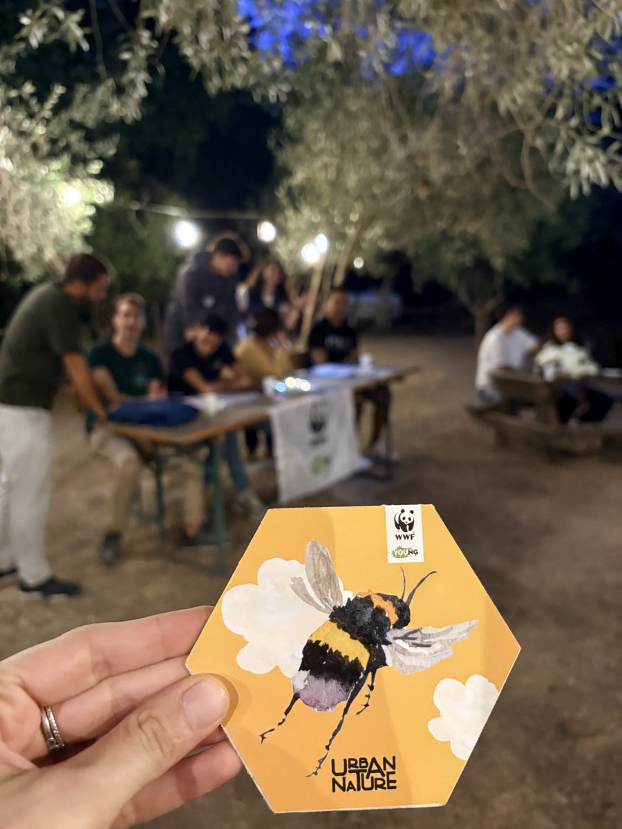 WWFitalia's tweet photo. Ieri sera l’APEriQuiz “Bee the Change” 🐝 di @WWF_YOUng a #Roma per scoprire tante curiosità sul mondo degli impollinatori 🦋

#UrbanNature2026 continua oggi e domani: eventi e oltre 100 piazze in Italia dove conoscere e sostenere gli spazi natura #WWF 
👉🏼https://t.co/vZsqAZKKld https://t.co/4xHDHHkxPF