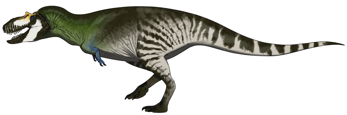 gorgomoloch's tweet photo. Tromerosaurus solumons https://t.co/SQfeVNMnLp