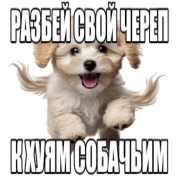 XDkc9's tweet photo. MOGG MOGG MOGG o(｀ω´ )o https://t.co/EIISjtQSVT