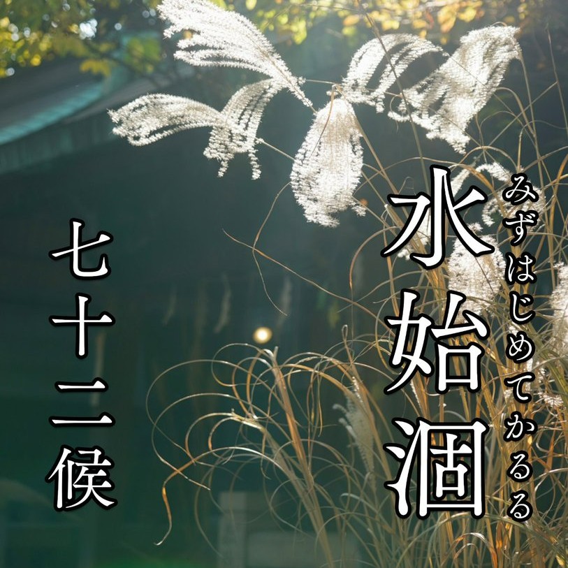 onoterupr's tweet photo. おはようございます🙂

本日は七十二候「 #水始涸(みずはじめてかるる )」
田んぼの水を抜き稲刈りの準備をする時季、お米の収穫まであと少しです

今月は天皇陛下が八百万の神々に先駆けて、今年の初穂を天照大御神に捧げる「神嘗祭（かんなめさい）」の月

新米は感謝を込めていただきたいですね🙏✨ https://t.co/E7dZxaGSej