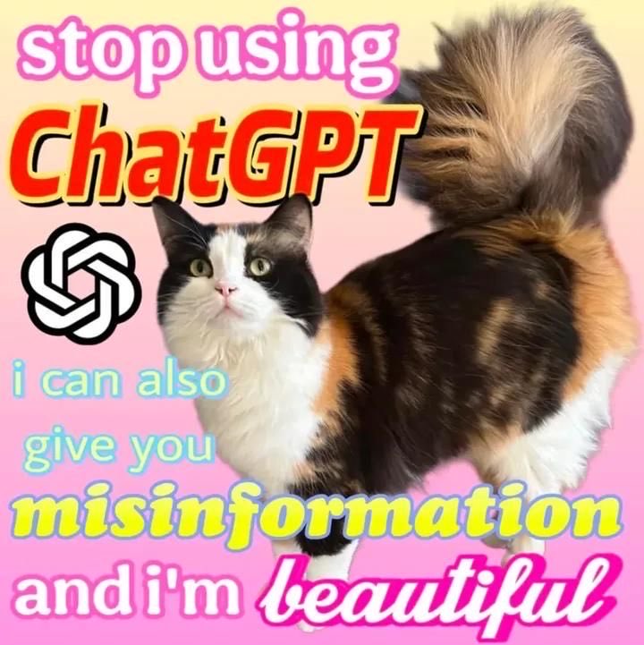 catpicsdealer's tweet photo. https://t.co/sedDcvgZnB