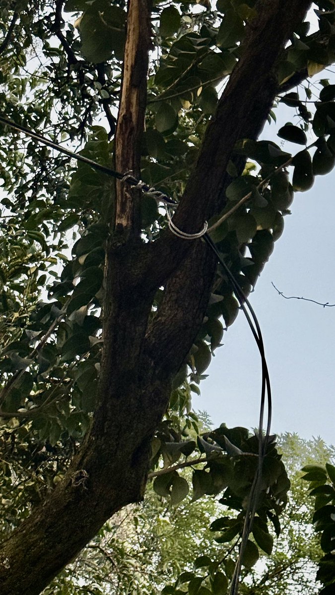_its_c0Mp's tweet photo. @SANDOVALYA10 @BJAlcaldia @MetropolisCDMX @EipCDMX @inveacdmx @ClaraBrugadaM @JorgecNegrete Checa los de parque arboledas instalados con las mismas nalgas. El cable de electricidad volando

Pero son los negocios de los amigos de @LuisMendozaBJ que solo sabe hacer corrupcion https://t.co/fyonVlxQEy