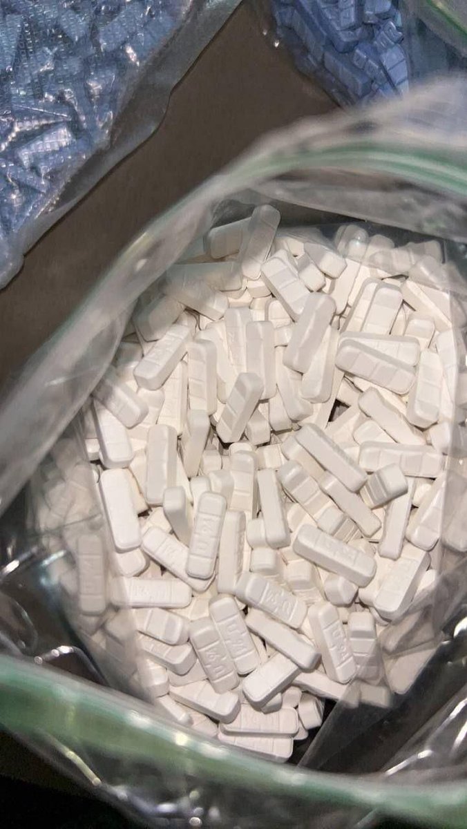 Fresh_Gaming's tweet photo. People have to get Xannies fr 🤤

Bars https://t.co/xTyQwmpDd1