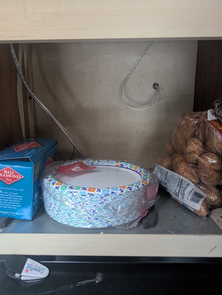 America1stEM's tweet photo. Stocked my shelves for $62 today 😁 https://t.co/UYEcZPMCcM