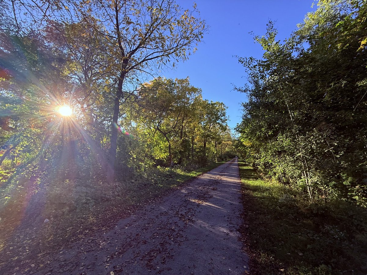 Skylarsmom's tweet photo. It is such a beautiful day!! ☀️🍁 https://t.co/lBdqwaiLY6