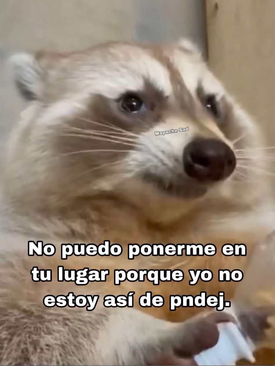daphnella's tweet photo. La verdad https://t.co/AvIMnWftoh