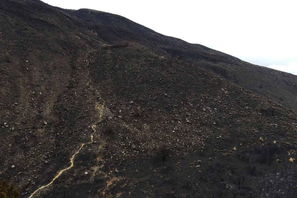 fabio_arjona's tweet photo. La emergencia no termina cuando se apaga el incendio.

Ahora comienza una segunda etapa: evaluar los daños, recuperar los ecosistemas afectados y fortalecer las condiciones para que un evento de esta magnitud no vuelva a encontrarnos desprevenidos. Todo con un protocolo que hemos definido con la Dirección de Bosques con @MinAmbienteCo que hoy compartimos en mesa técnica con  el gobernador @CarlosAmayaR de @GobBoyaca y la @alcaldiavdleyva.