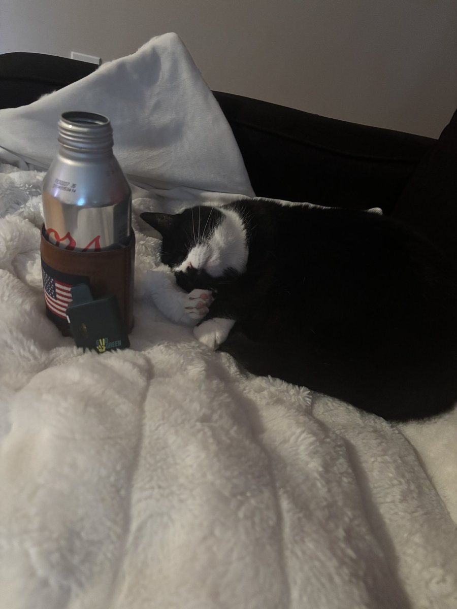 WarDamnFlock's tweet photo. Such a loser, I have no friends to go out with so I just drink and hit the cart with my cats. #iknowimadork https://t.co/p96Y0FofLb