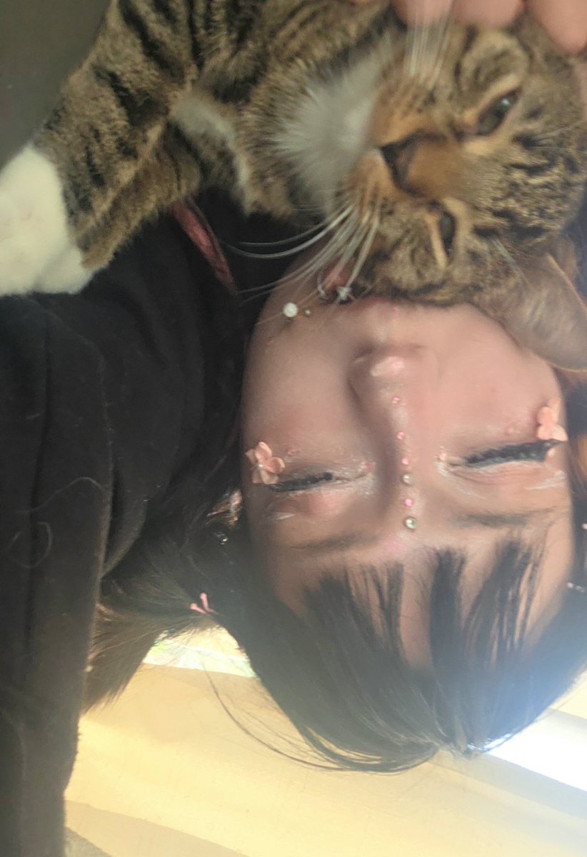 schizobait's tweet photo. KETAMINEE CAMEEE HOMMEEE

♡︎＆↺

#ILOVEMYSON #YAYY #kitty #cosplay #val #egirl #sfxmakeup #feetworshi̇p #piercings #moots #of #altgirl #meow https://t.co/wDnTCXIqdD