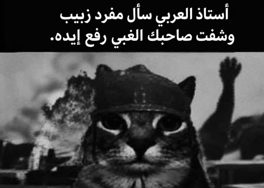 laiw102's tweet photo. اوكف يمعووود https://t.co/1UyfjF8gwQ