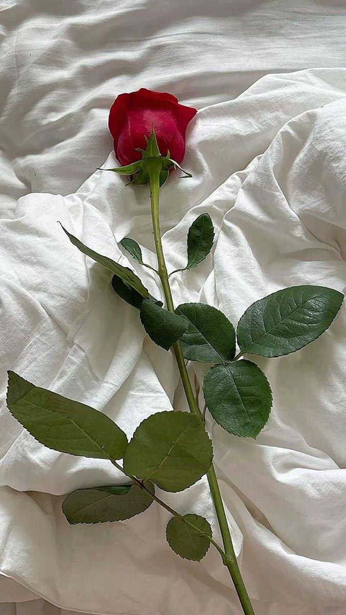 Jerrylee_Ivey's tweet photo. I have put myself out there as I am single. I always have guys that are interested but nothing ever comes of it. 
If you are single and want to go out on a date please let me know. https://t.co/xWuOgpxzZP