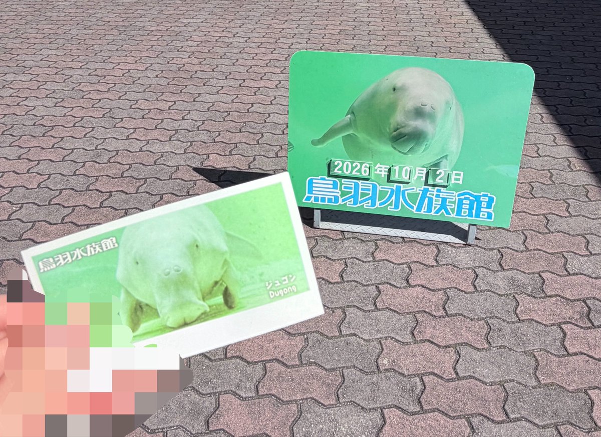 uni__note's tweet photo. 5月ぶりのとばすい🦦🦦 https://t.co/bl0Ik9XyGQ