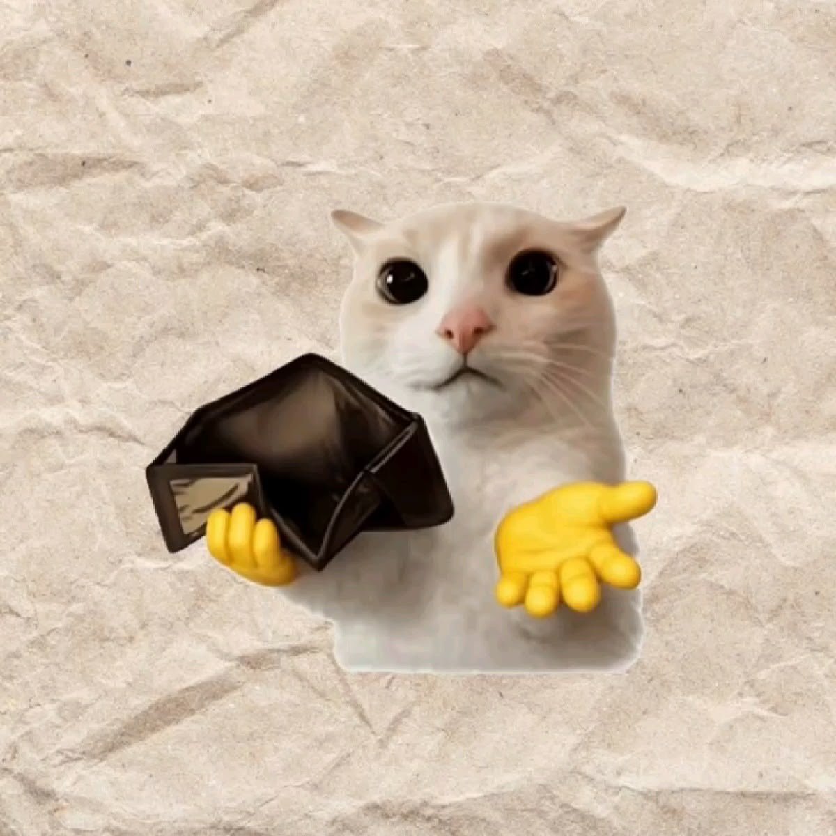 AlpineMeows tweet picture