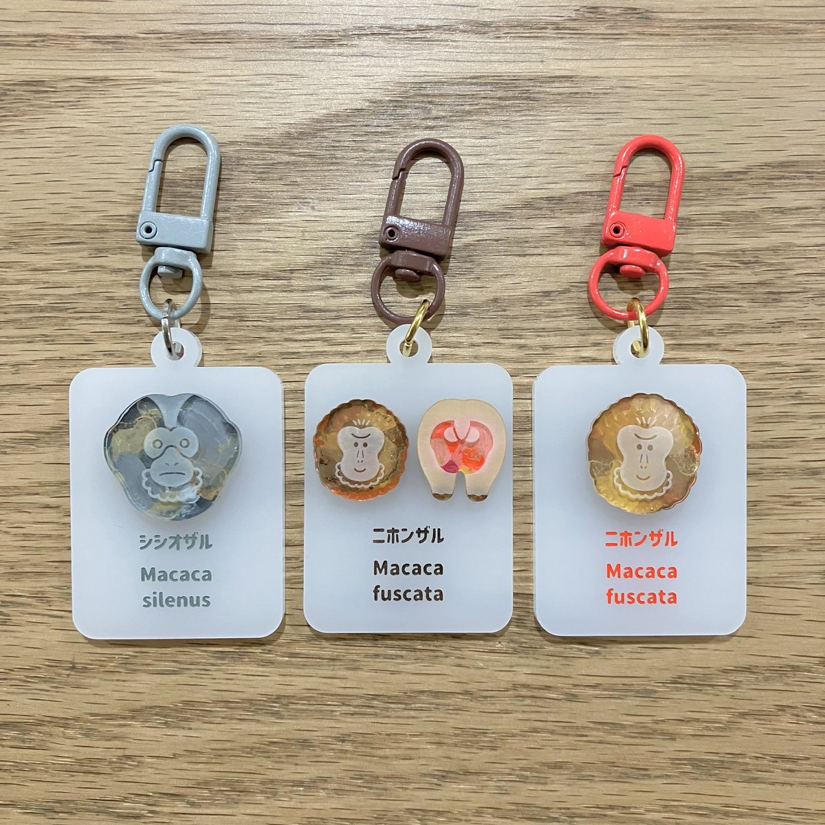 suzunokishop's tweet photo. 本日開催🎉🎉🎉
2026年10月3日（土）・4日（日）🔔
すずの木洋品店は🌳
よこはま動物園ズーラシアで開催される☀️
ズーラシアフェス！～アジアの動物たち～に出店します🐵
皆さまのご来店をお待ちしております🌠
#ズーラシアフェス 
#すずの木洋品店 https://t.co/wxn7I0tNgo
