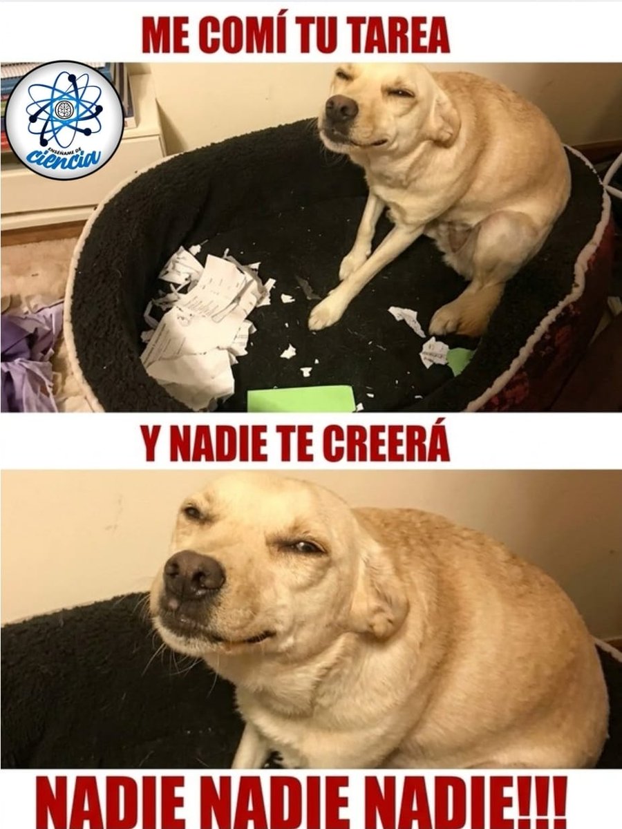 EnsedeCiencia's tweet photo. 😅Ese firus https://t.co/KEQ7Zty7TZ