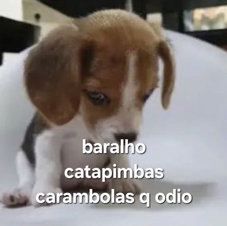danielssemjack's tweet photo. meu deus me leva logo seu filho tá pronto só puxa de uma vez https://t.co/qRFA1onpQ2