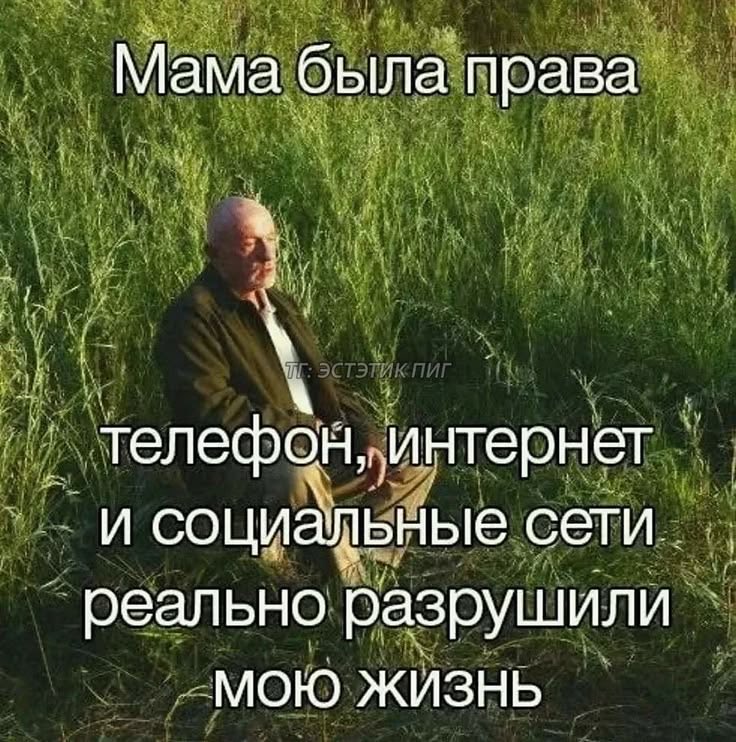 linscret's tweet photo. да https://t.co/EJqlTVZIiI