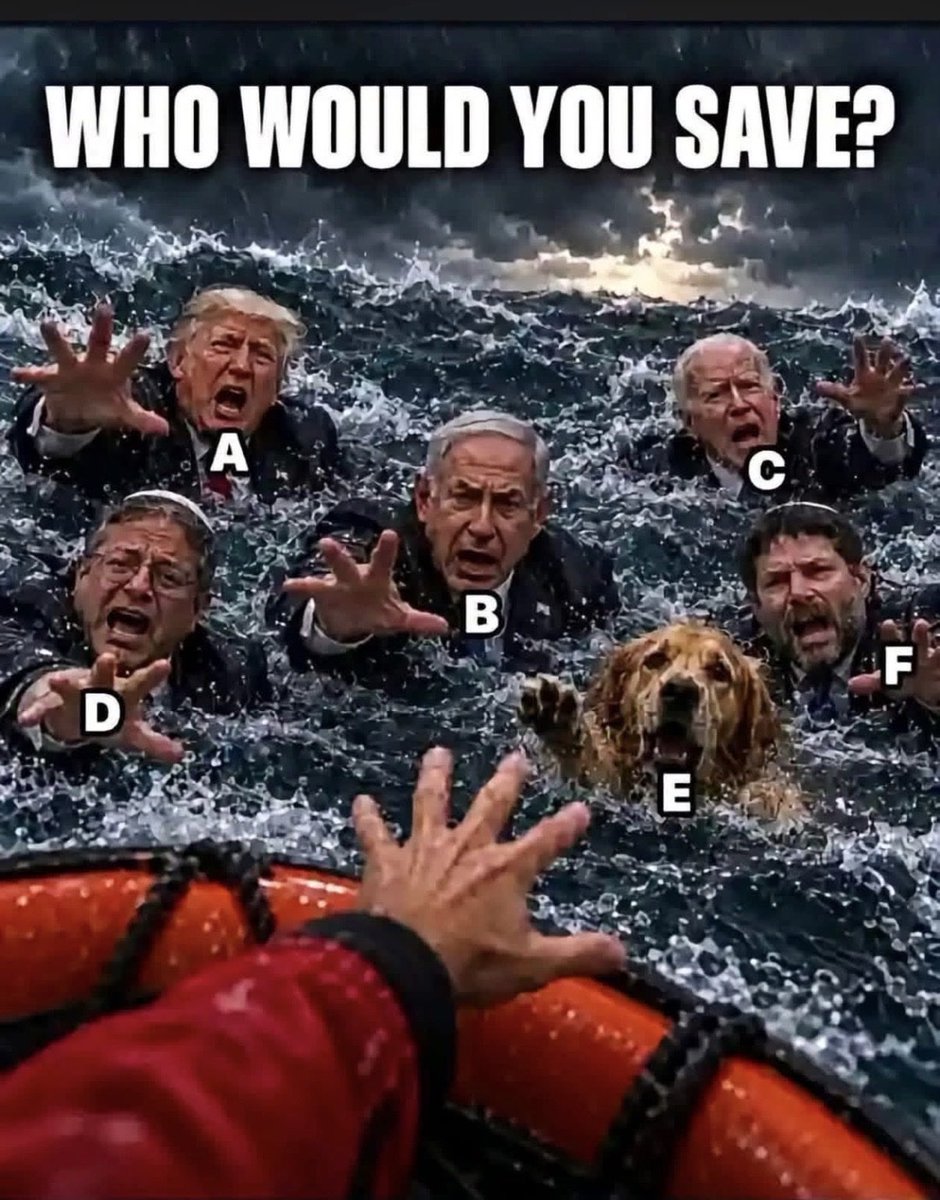 BraddrofliT's tweet photo. E.
The dog
Without hesitation. https://t.co/MChn8b9cqp