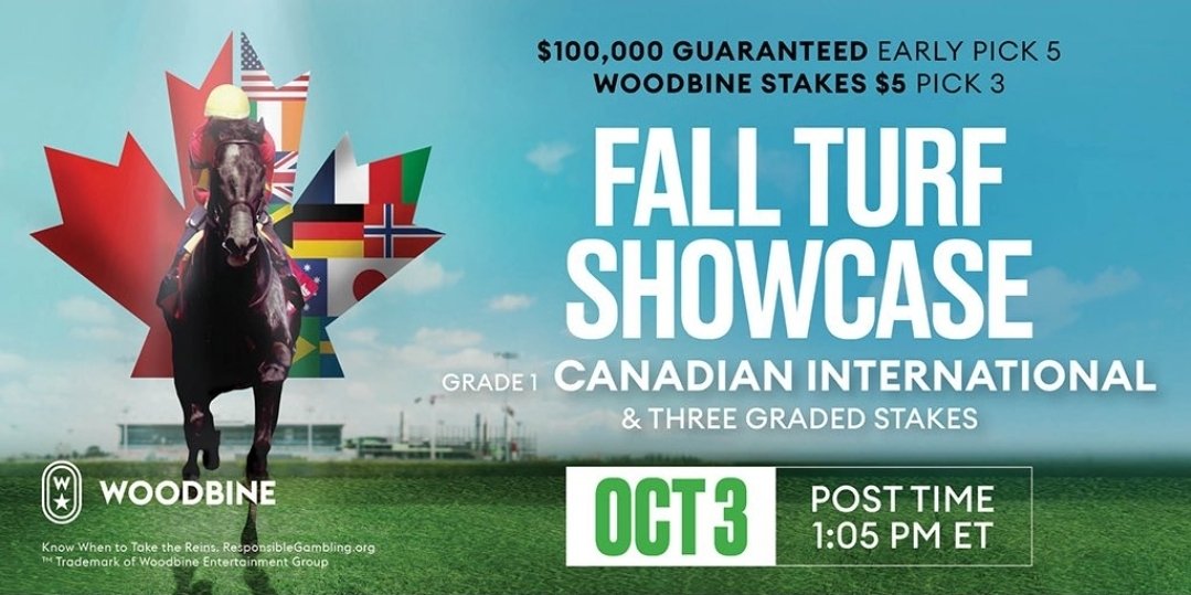 SethMerrow2's tweet photo. The sun has broken thru and we're wrapping up Friday in fine fashion-- setting things up for a big Fall Turf Showcase tomorrow @WoodbineTB 

Tune into @capitalotb TV for our coverage! https://t.co/QP6cdQhzKT