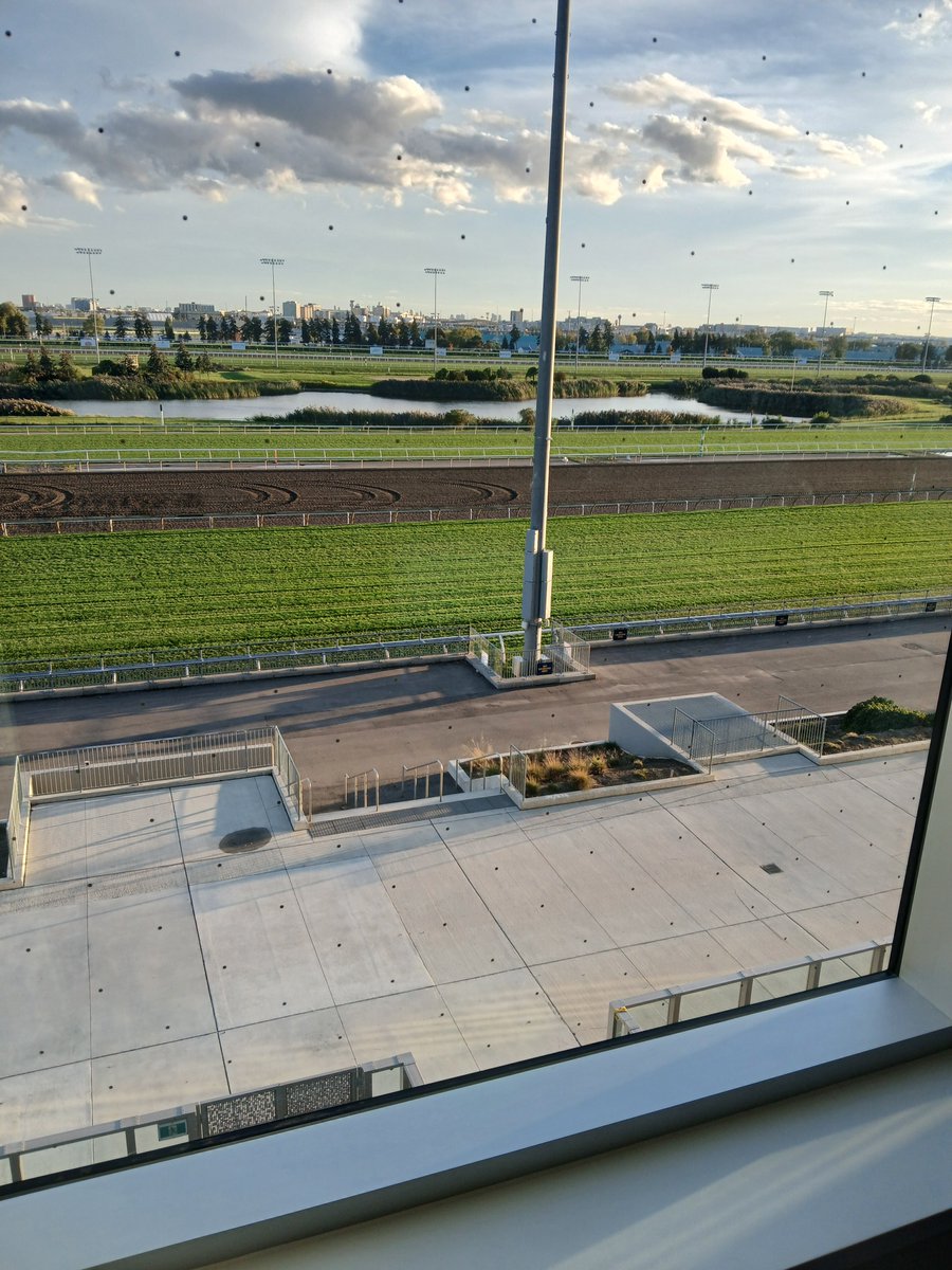 SethMerrow2's tweet photo. The sun has broken thru and we're wrapping up Friday in fine fashion-- setting things up for a big Fall Turf Showcase tomorrow @WoodbineTB 

Tune into @capitalotb TV for our coverage! https://t.co/QP6cdQhzKT