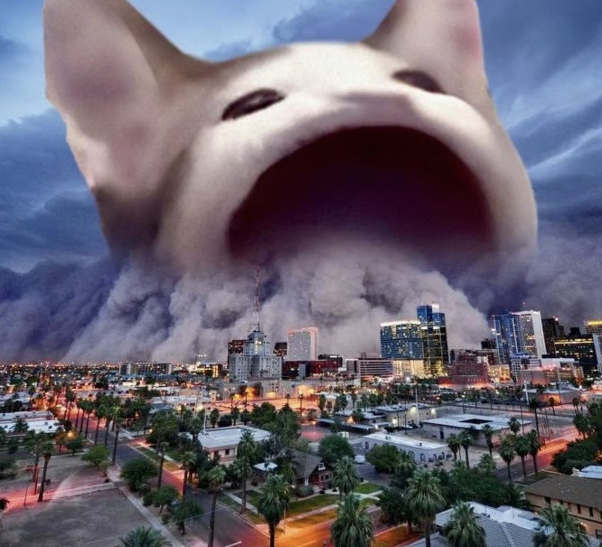 popcatworld's tweet photo. pop storm is brewing upon coinnoissurs https://t.co/Z7fOTVeQDK