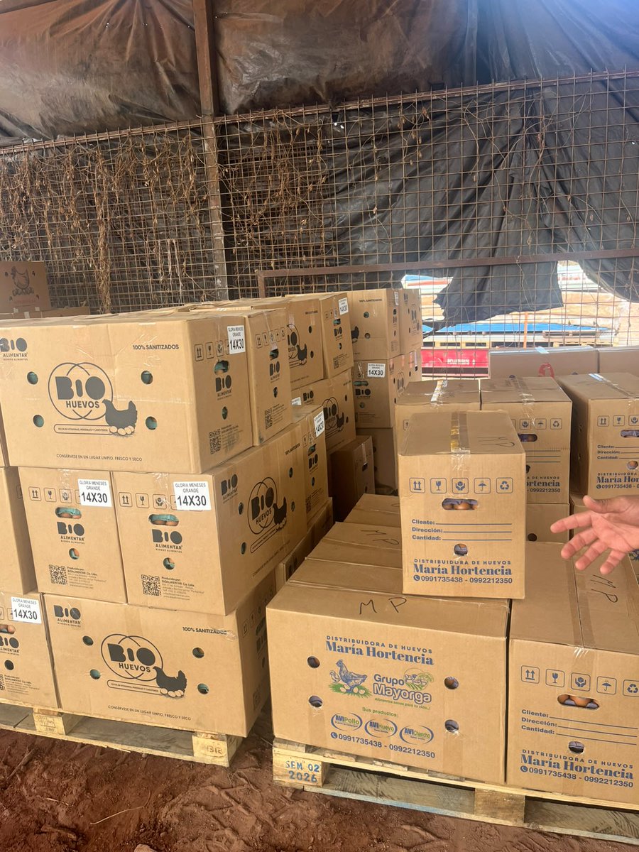 CGGalapagos's tweet photo. 🧵Durante la jornada se constató que los perecibles inspeccionados arribaron en buenas condiciones.

Estas acciones forman parte del trabajo del Gobierno de #ElNuevoEcuador para fortalecer el control de la carga y contribuir a un abastecimiento seguro y ordenado en Galápagos. https://t.co/QFrzdNh4bM