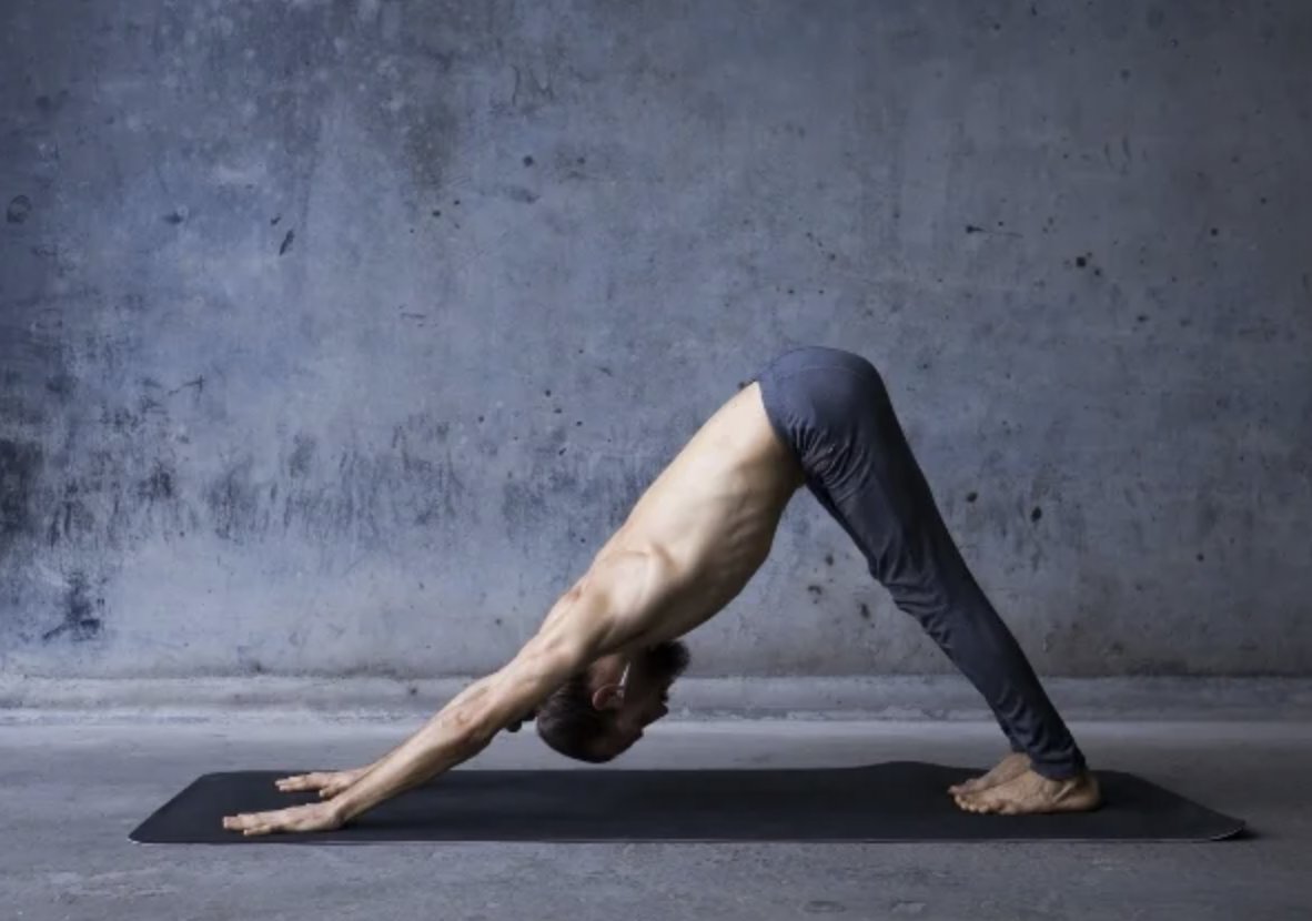 FitnessHacks101's tweet photo. Get more out of your training with an upper-body warm up! Discover why a proper warm up is key for better performance and injury prevention. Check out the full guide: https://t.co/pNPqk62y3i

#upperbodyworkout #warmup #strengthtraining #fitness #workout #exercise #fitfam #motivation #getfit #wellness #training #active #noexcuses #transformation #gymmotivation #workouttips #healthylifestyle #FitnessHacks101