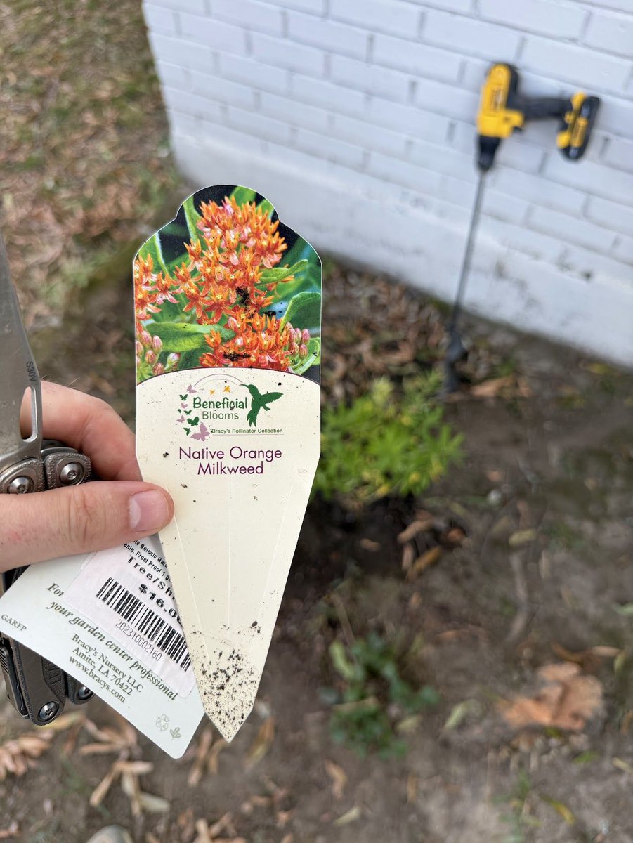 harlanvaughn's tweet photo. here's what i planted this week! #gardening #zone8a #inmygarden https://t.co/52EFGx1iz8
