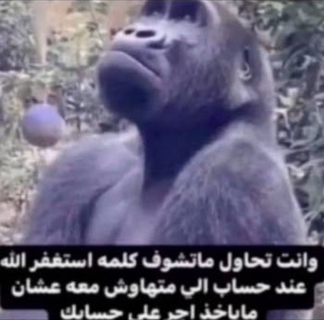 Superooryfan's tweet photo. #٢٠٣٠_بلا_نقاب3 
#كلا_للمدونة_الجعفرية 
ماصرت ادخل حسابات الذكور والذكوريات لان ادري البايو والمثبته بيكون ادعيه واذكار https://t.co/I9uF7BjObT