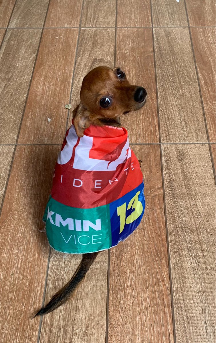 samarafrr's tweet photo. mais um ano de eleição e venho dnv lembrar o posicionamento da nina https://t.co/jofLRycJRx