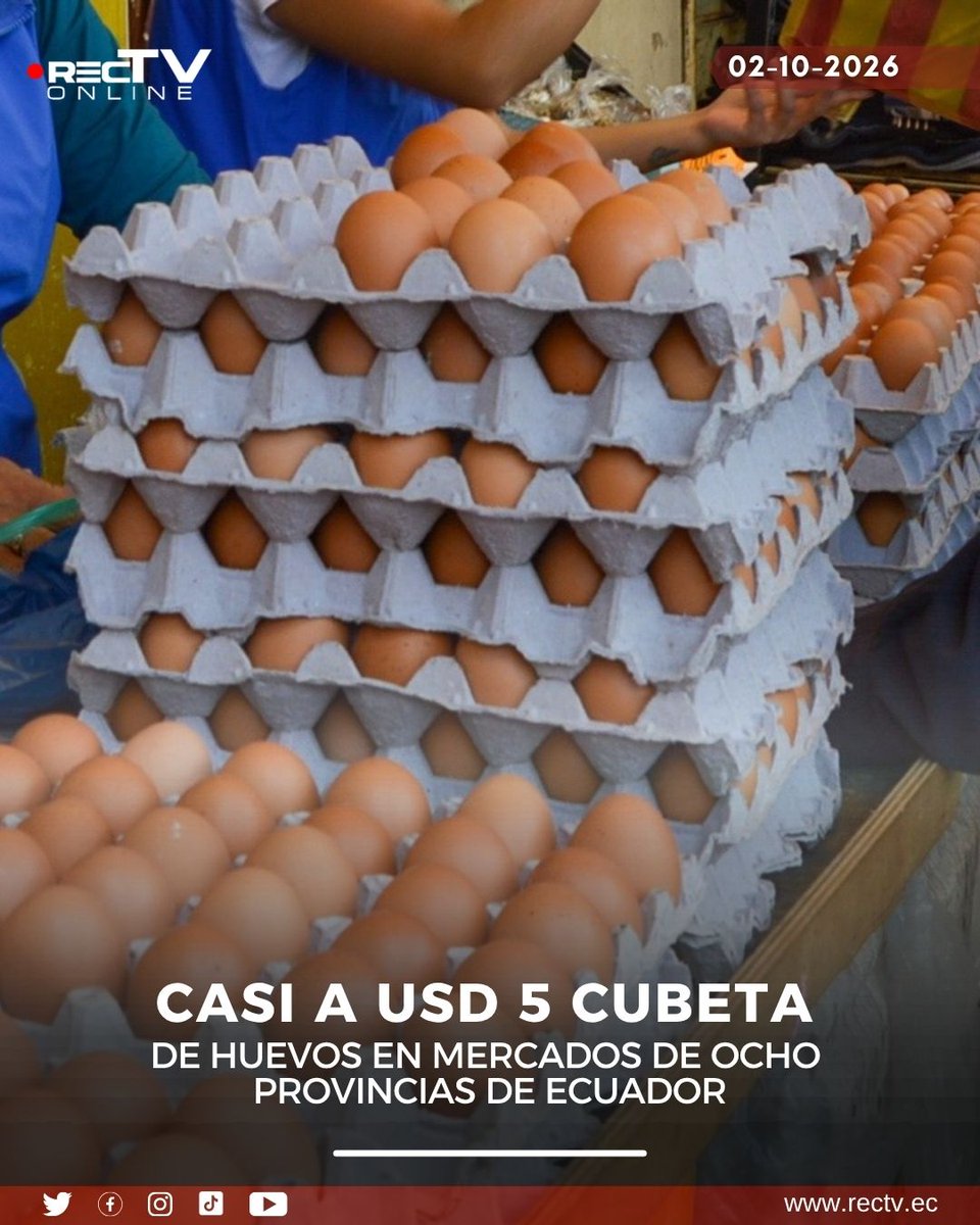 RecTVonline's tweet photo. #RecTv | El precio de la cubeta de huevos llegó a casi USD 5 en mercados de al menos ocho provincias del país, en medio de una menor oferta y un incremento de los costos de producción. https://t.co/MKxTUc5VKg