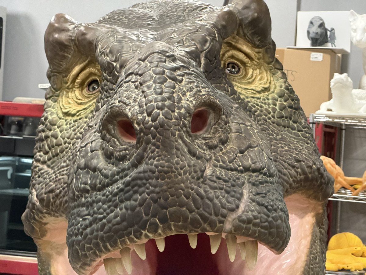 hellbendermodel's tweet photo. Oh I guess this qualifies for #FossilFriday !
Have a silly pic as a bonus- from before I got the eyes lined up right https://t.co/Do8gMwMj0k
