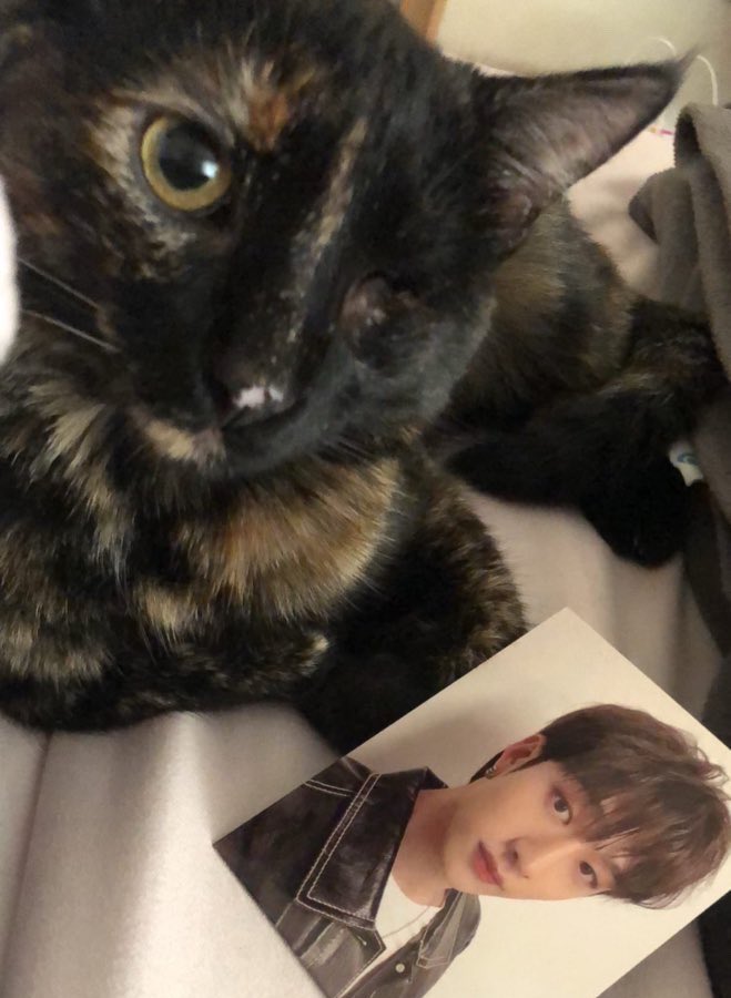 chanlyricist's tweet photo. Happy Birthday Bangchan! 🐈‍⬛🤍

#스테이의_영원한_자부심_방찬
#BangChanEmpireOfTalent
#HappyBangChanDay https://t.co/BRewPnlaBX