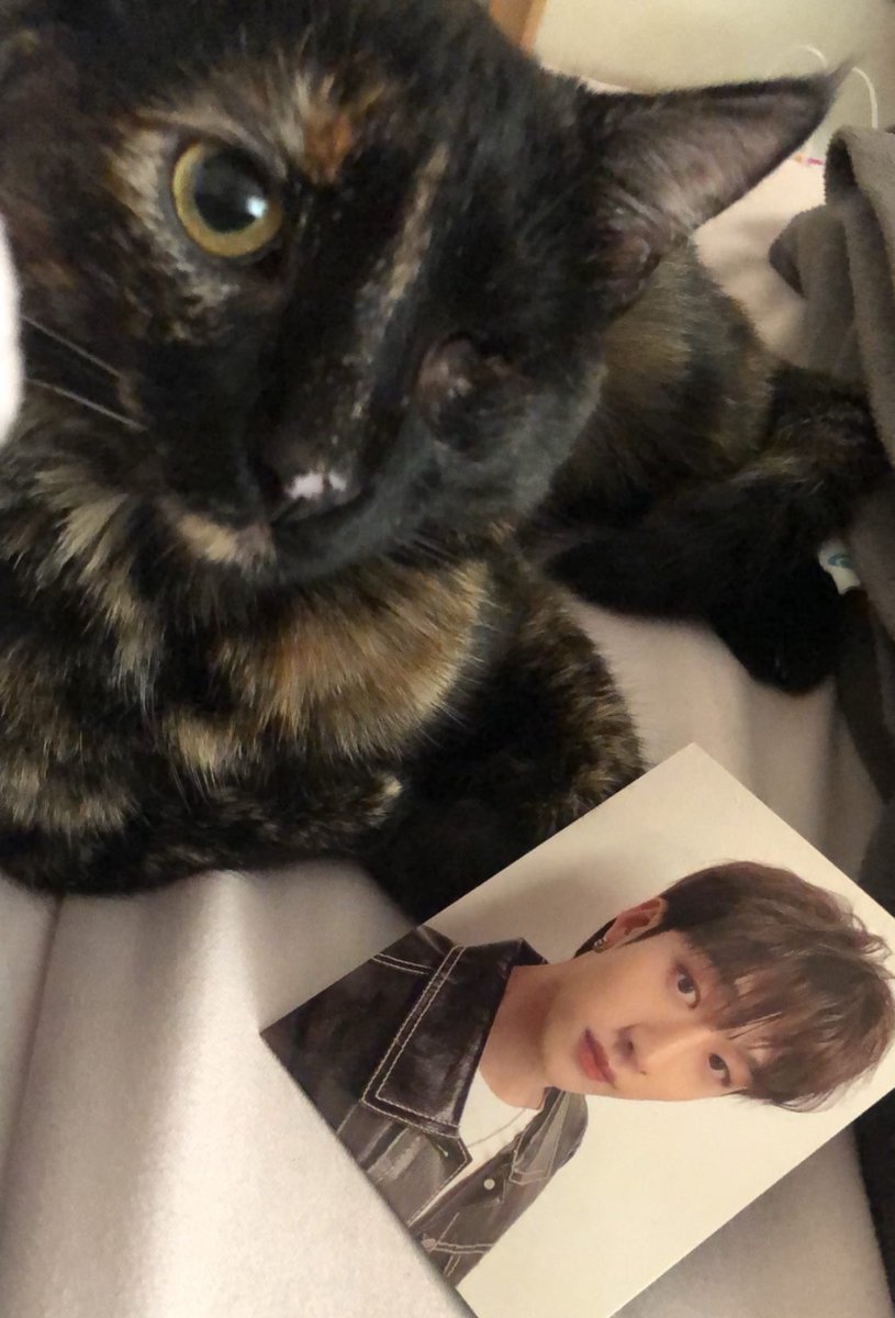chanlyricist's tweet photo. Happy Birthday Bangchan! 🐈‍⬛🤍

#스테이의_영원한_자부심_방찬
#BangChanEmpireOfTalent
#HappyBangChanDay https://t.co/BRewPnlaBX