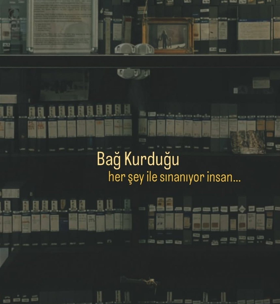 _kyszmavi_'s tweet photo. https://t.co/KN5Gddynrf