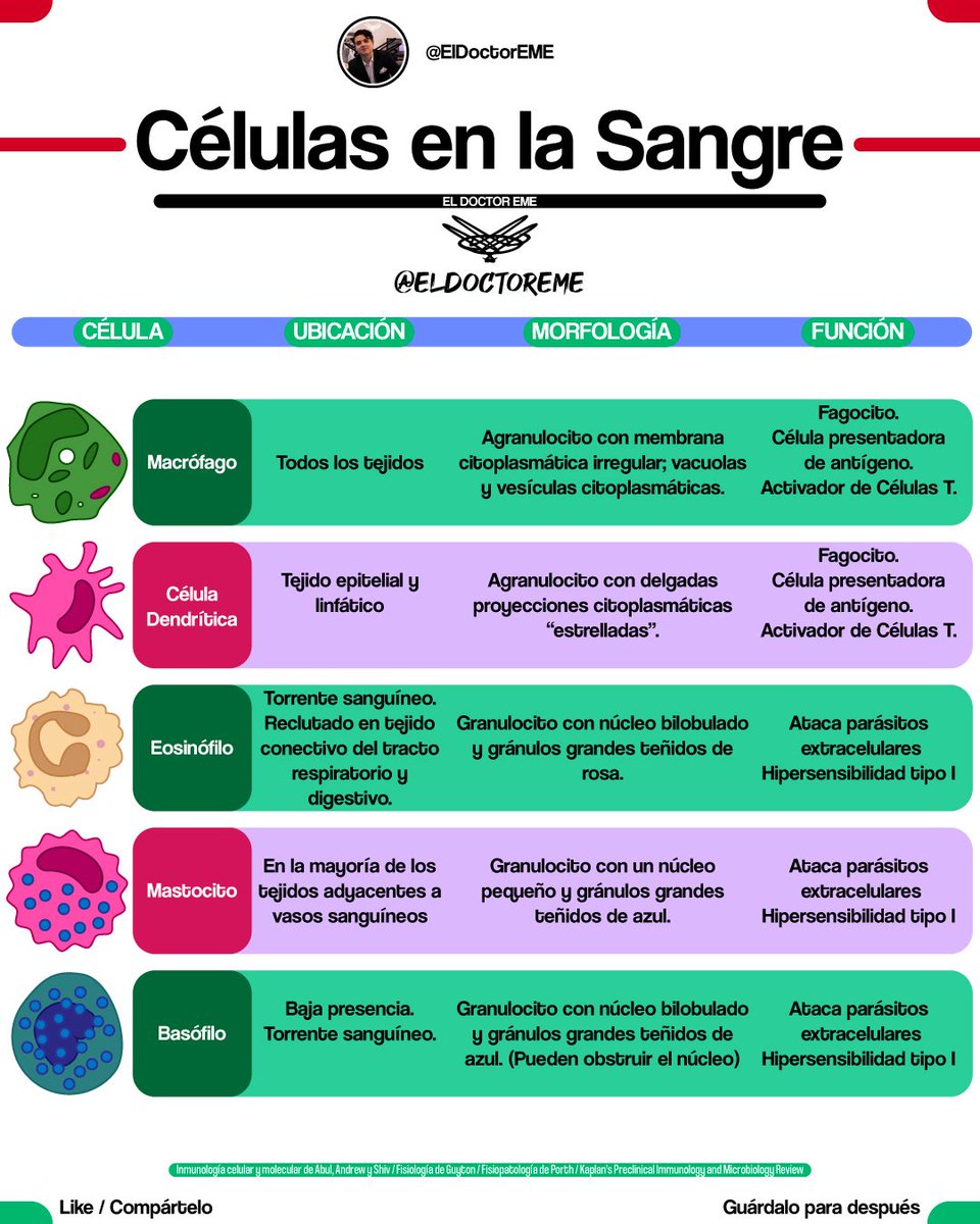 eldoctoreme's tweet photo. 🤓GUÍA RÁPIDA: CÉLULAS EN LA SANGRE🤓
📌Hilo con📌

•Orígenes
•Ubicaciones Principales
•Funciones
•Morfologías

Encuentra más información en https://t.co/NPENohlTRC

#ENARM #MIR #USMLE #ENARM2026 https://t.co/dPLKCHumpK