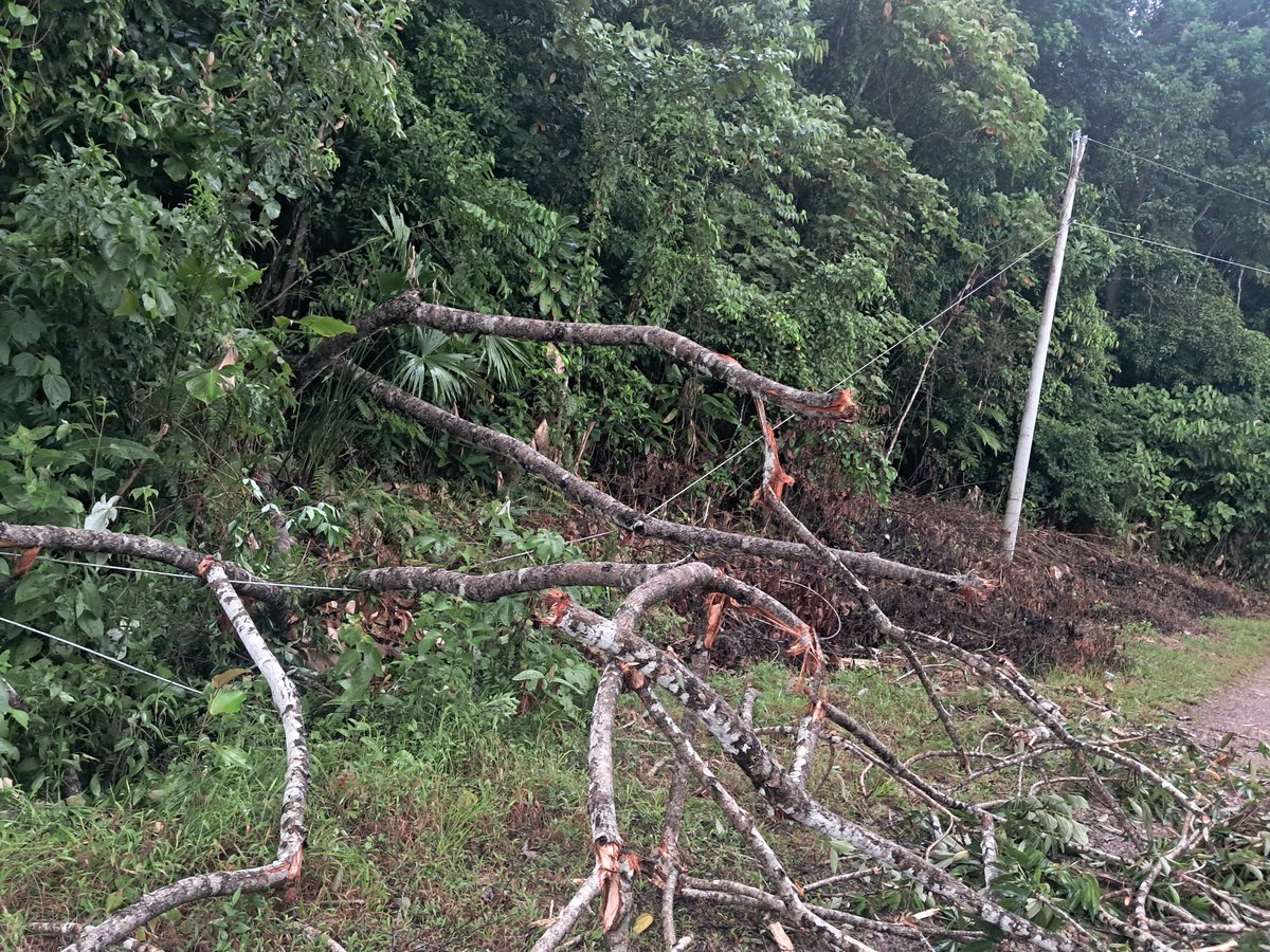 JoseEdward08's tweet photo. Llegando a Tulú Centro corregimiento  de Tulu , distrito de Penonome, árbol caído   encima del tendido electrico desde las 4:00 pm de hoy https://t.co/EWhlVS2Hit