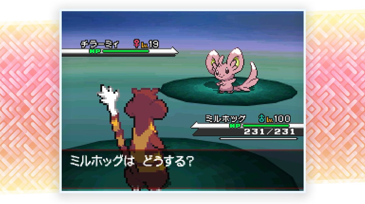 JCBLPs's tweet photo. Shiny Minccino! ✨🐁

This appeared after 14,356 REs in Pokemon White &amp; is Phase 1 for Smeargle! https://t.co/wmqycAo8uo