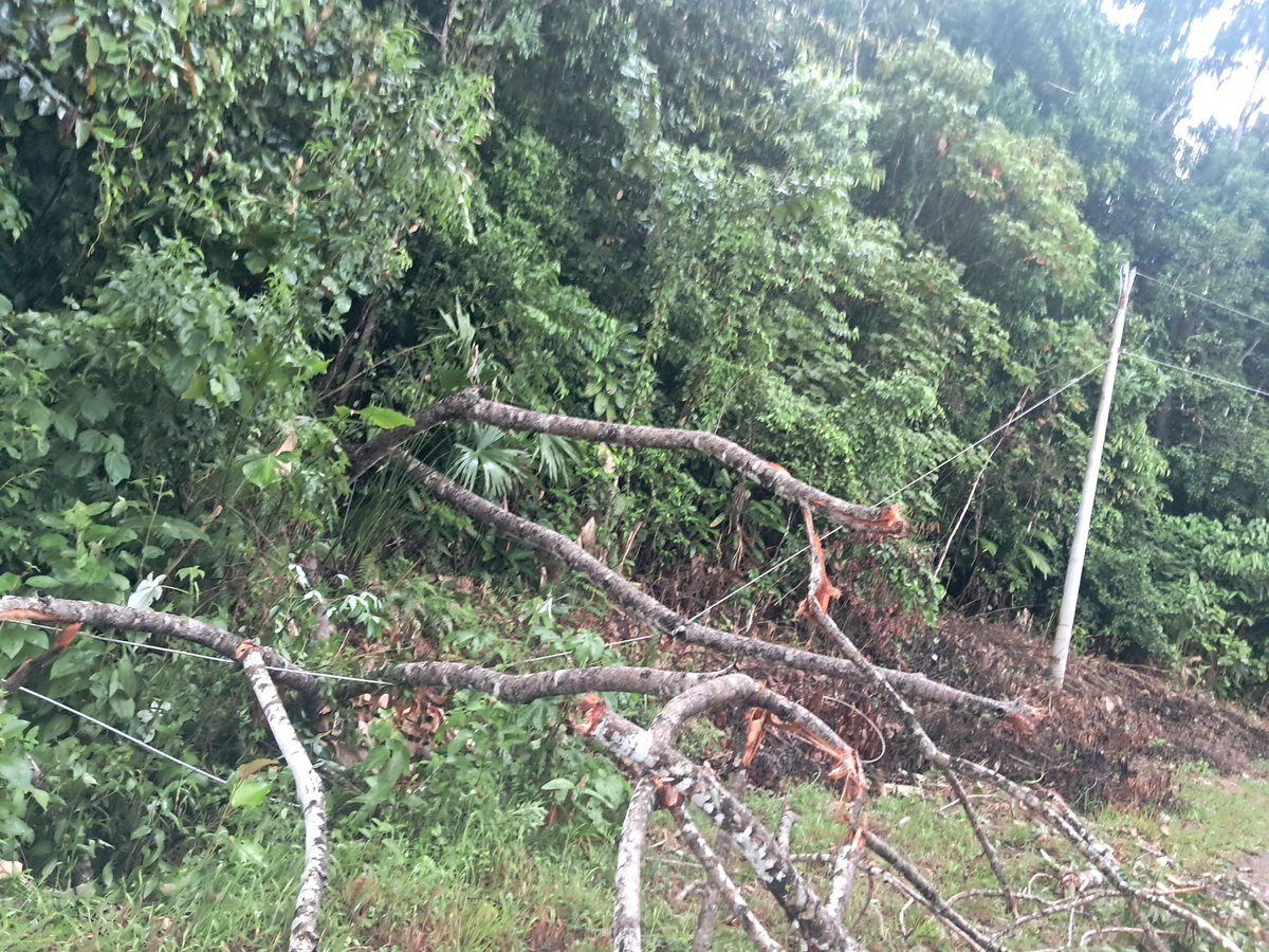 JoseEdward08's tweet photo. @NaturgyPa árbol caído desde las 4:00 pm de hoy 2 de octubre llegando a  Tulú, corregimiento de TULÚ, distrito  de Penonomé https://t.co/bjUesFiZ3T